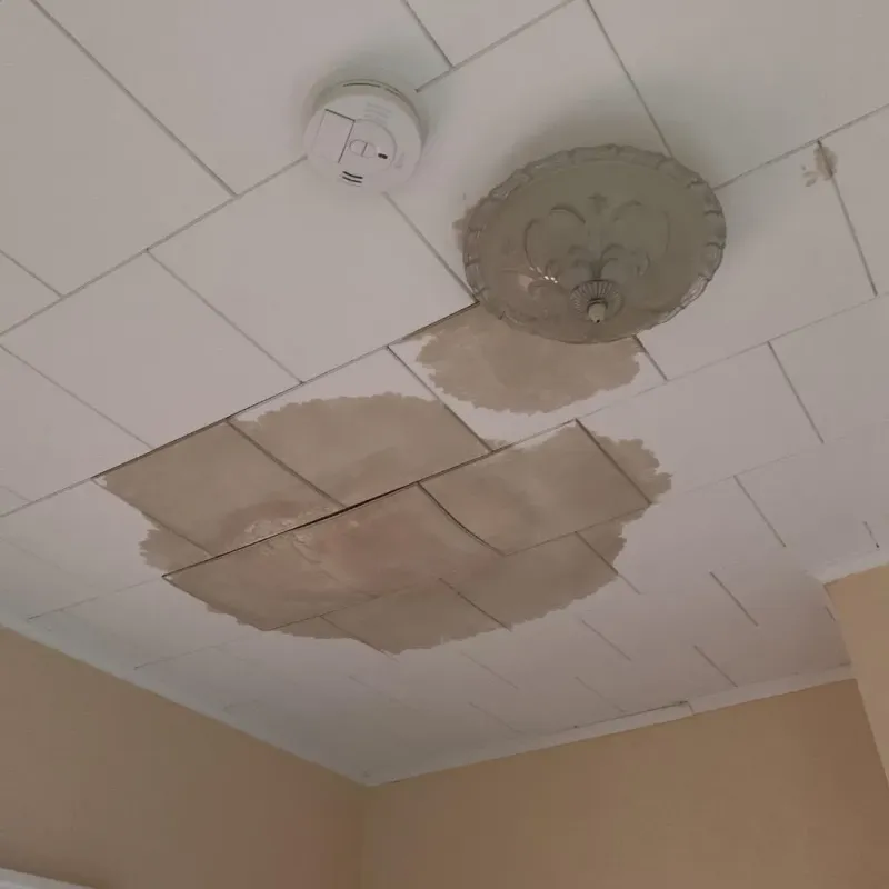 Ceiling Water Damage Repair in Greenville, OH