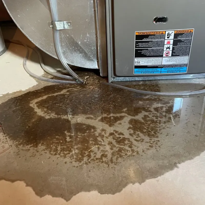 Pipe Burst and Leak Restoration in Greenville, OH